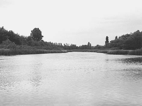 фото: Біла